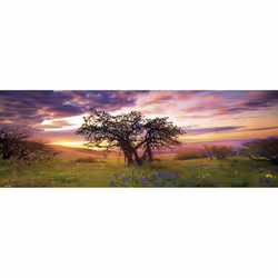 Heye Puzzle 29472 puzzle Contour puzzle 2000 pc(s) Art