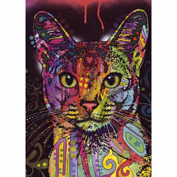 Heye Abyssinian Jigsaw puzzle 2000 pc(s) Art