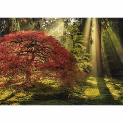 Heye Puzzle Guiding Light