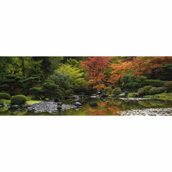 Heye Puzzle Zen Reflection
