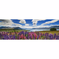 Heye Puzzle Lake Tekapo