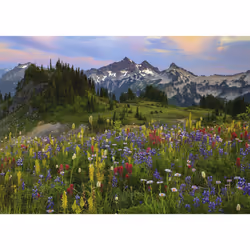 Heye Puzzle Tatoosh Mountains