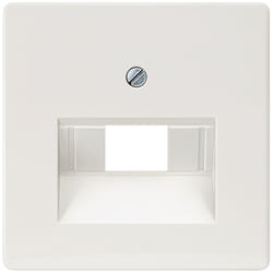 Siemens 5TG2545 wall plate/switch cover