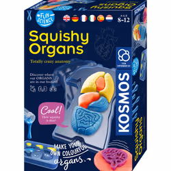 Kosmos Fun Science Squichy Organs, Anatomy, 8 yr(s), Multicolour