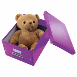 Leitz 60440062 file storage box Polypropylene (PP) Purple - Additional view 4
