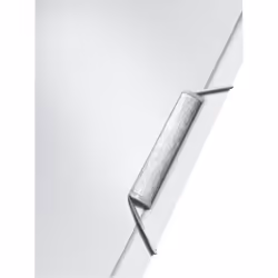 Leitz 39560004 box file 250 sheets White Polypropylene (PP)
