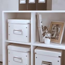 Leitz Click & Store WOW Storage box Rectangular Polypropylene (PP) White