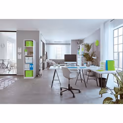 Leitz 53611054 file storage box Polystyrene (PS) Green, White - Additional view 4