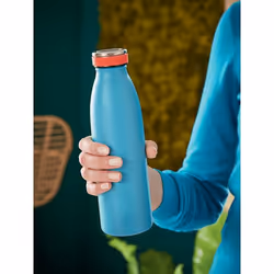 Leitz Insulated Daily usage 500 ml Stainless steel Blue