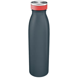 Leitz Insulated Daily usage 500 ml Stainless steel Black