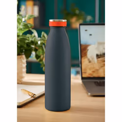 Leitz Insulated Daily usage 500 ml Stainless steel Black