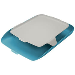 Leitz 52590061 desk tray/organizer Polystyrene (PS) Blue