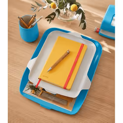 Leitz 52590061 desk tray/organizer Polystyrene (PS) Blue