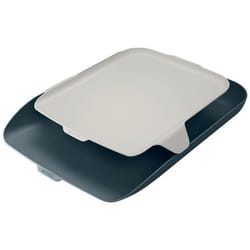 Leitz 52590089 desk tray/organizer Polystyrene (PS) Black