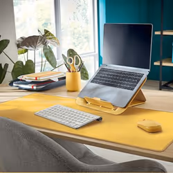 Leitz Cosy mouse Office Ambidextrous RF Wireless + Bluetooth 4000 DPI - Additional view 8