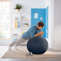 Leitz Ergo Cosy Grey Indoor Round - Additional view 8