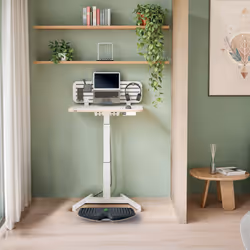 Leitz Ergo Active Balance Board - Additional view 8