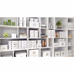 Leitz Click & Store DVD Storage Box