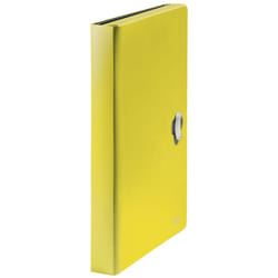 Leitz 46240015 box file 250 sheets Yellow Polypropylene (PP)