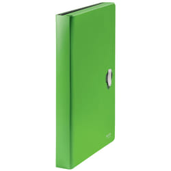 Leitz 46240055 box file 250 sheets Green Polypropylene (PP)