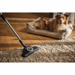 Miele STB 305-3
