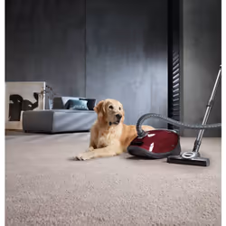 Miele Complete C3 Cat & Dog Pro PowerLine