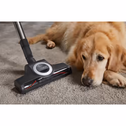 Miele Complete C3 Cat & Dog Pro PowerLine