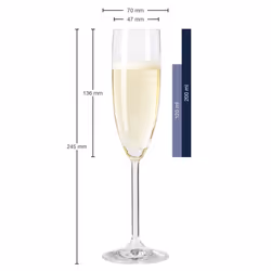 LEONARDO 035243 Champagne Glass  Set of 6
