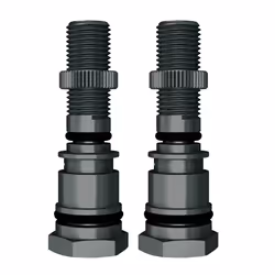 SKS Airspy Replacement Schraeder Valves - Pair