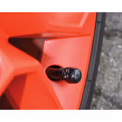 FOLIATEC SKULL 32703 Tyre Valve Cap