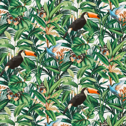 Paradisio 2 Jungle Birds Wallpaper White Erismann 10121-07