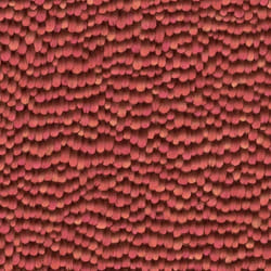 Erismann Red Orange Feather Wallpaper Paste The Wall Vinyl Modern Contemporary