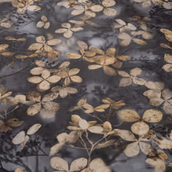 Erismann Abode Play of Light Blossom Black Wallpaper 10415-15