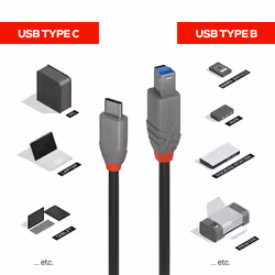 Lindy 0.5m USB 3.2 Type C to B Cable, 5Gbps, Anthra Line - Additional view 5