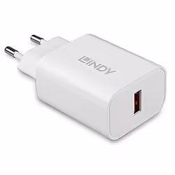 Lindy 73412, Indoor, Outdoor, AC, 12 V, White