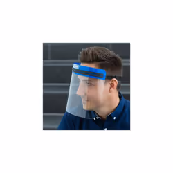 Face guard