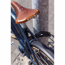 ABUS 11.82868 bike lock Black 1000 mm Chain lock