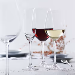 Spiegelau 4720171 wine glass 550 ml Red wine glass
