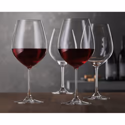 Spiegelau Salute Burgundy Glass
