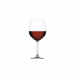 Spiegelau Salute Burgundy Glass