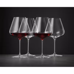 Spiegelau Definition Burgundy Glass