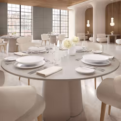 Villeroy & Boch Afina Gourmet plate Round Porcelain White 1 pc(s) - Additional view 4