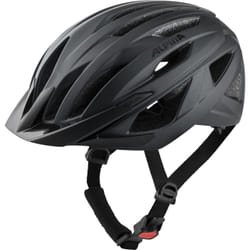 Alpina Sports DELFT MIPS Black