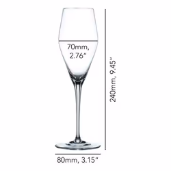 Nachtmann ViNova Champagne Glass