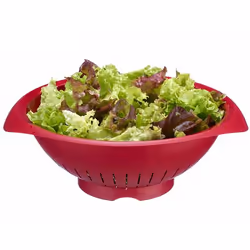 Westmark 2424227R kitchen strainer Plastic 25 cm