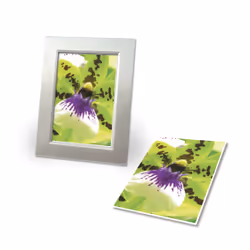 Avery Premium Inkjet A4 250g White Satin-matt