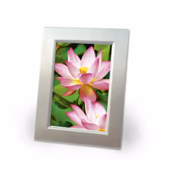 Avery c2553-40 White High-gloss