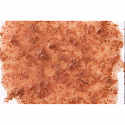 Tetra FreshDelica Krill 0.048 kg