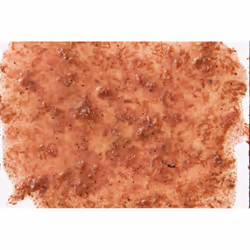 Tetra Fresh Delica Krill 16x3g