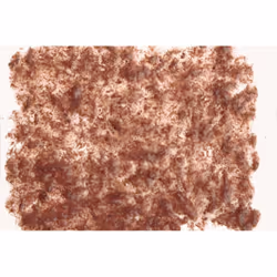 Tetra Fresh Delica Brine Shrimp Tube 80g